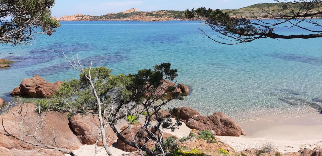 Mare Natura Confort... Il Mio Paradiso In Sardegna Isola Rossa Dış mekan fotoğraf