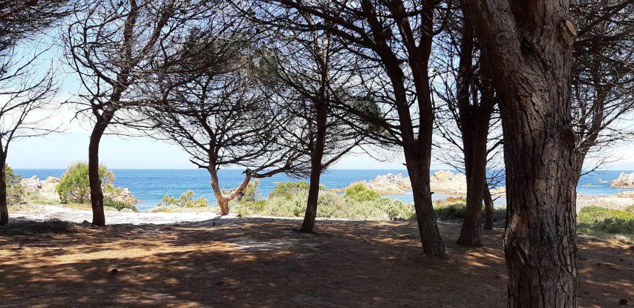 Mare Natura Confort... Il Mio Paradiso In Sardegna Isola Rossa Dış mekan fotoğraf